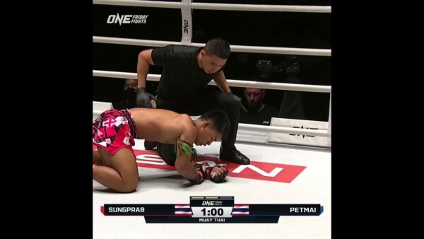 CHOPPED LIVER  Petmai stops Sungprab with a vicious body kick!