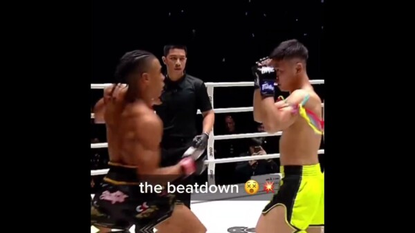 “Panda Kick” has special moves