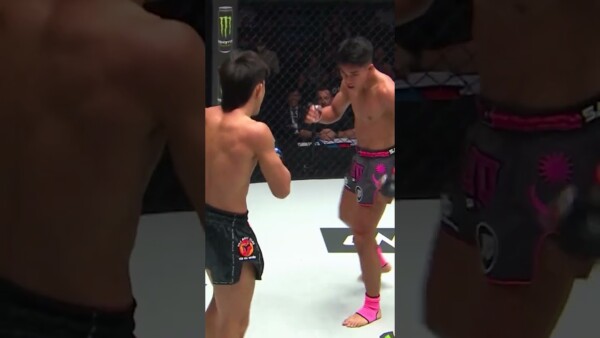 Those leg kicks are DEVASTATING