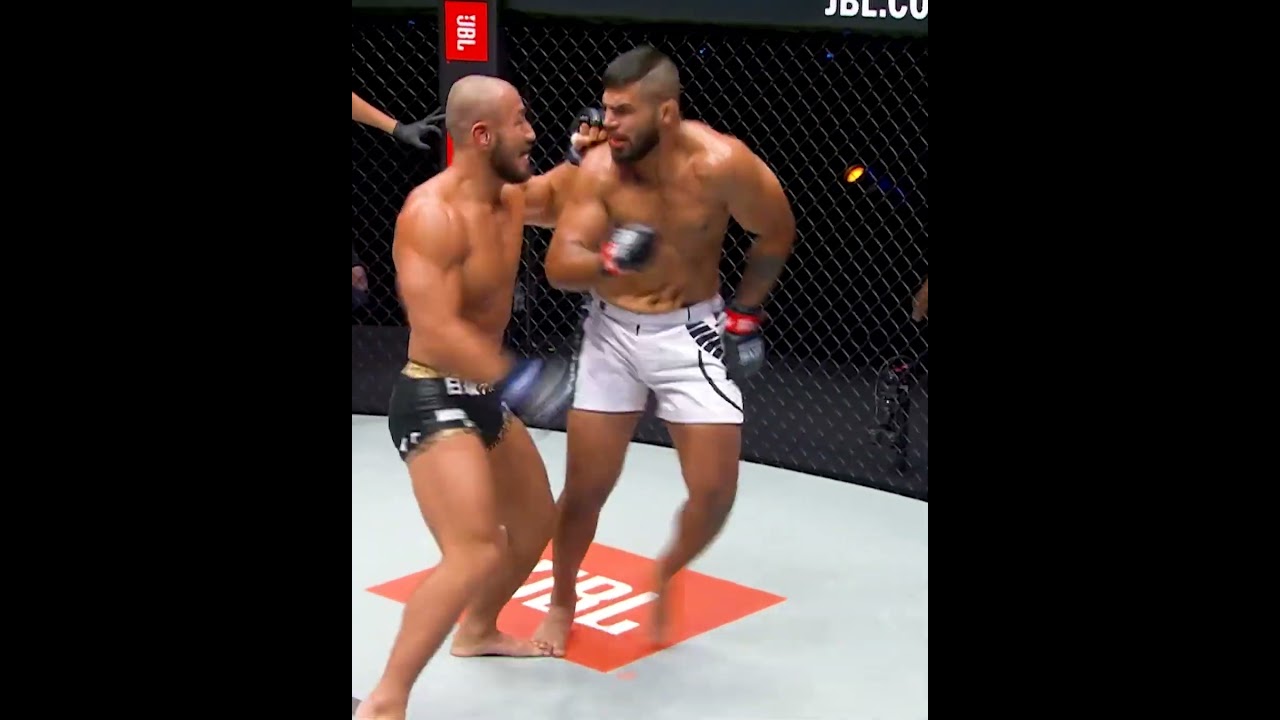 "Japanese Beast" gone WILD