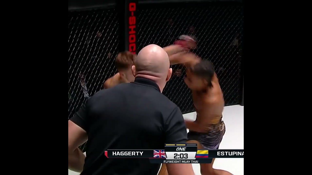 Panda POWER  Jordan Estupinan drops Freddie Haggerty twice in Round 2 and wins his ONE debut!