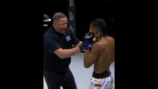 WILD KNOCKDOWNS