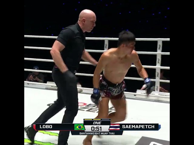 DEMOLITION  Felipe Lobo drops Saemapetch four times in their rematch for a third round TKO!