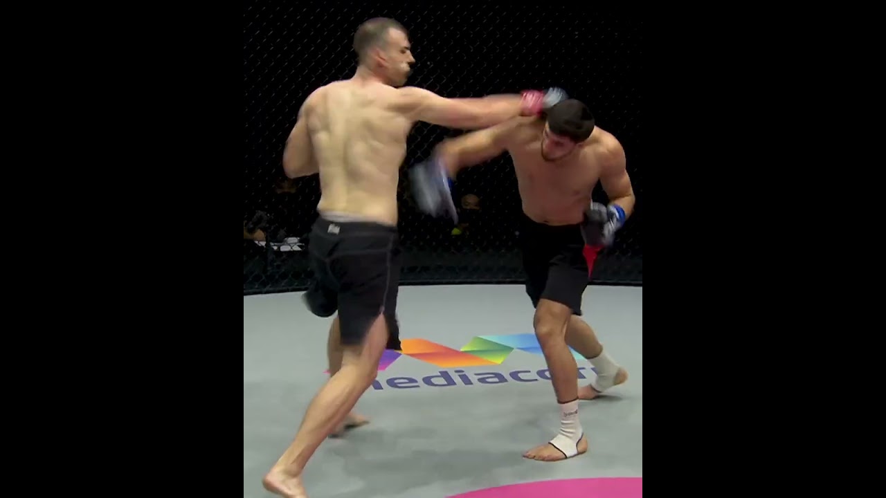 FOLDED him with ONE punch