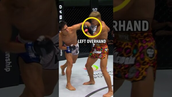 KO analysis