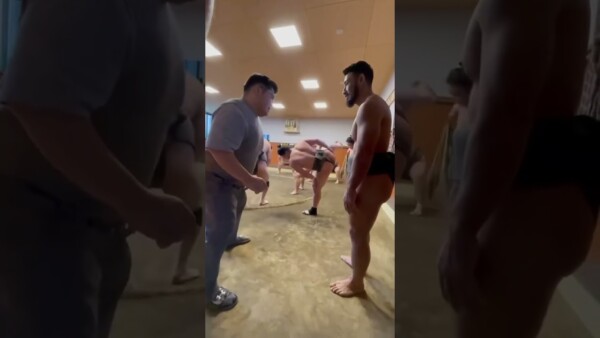 Sumo vibes