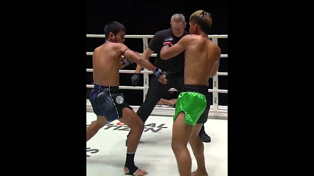 WILD ending to a WILD brawl