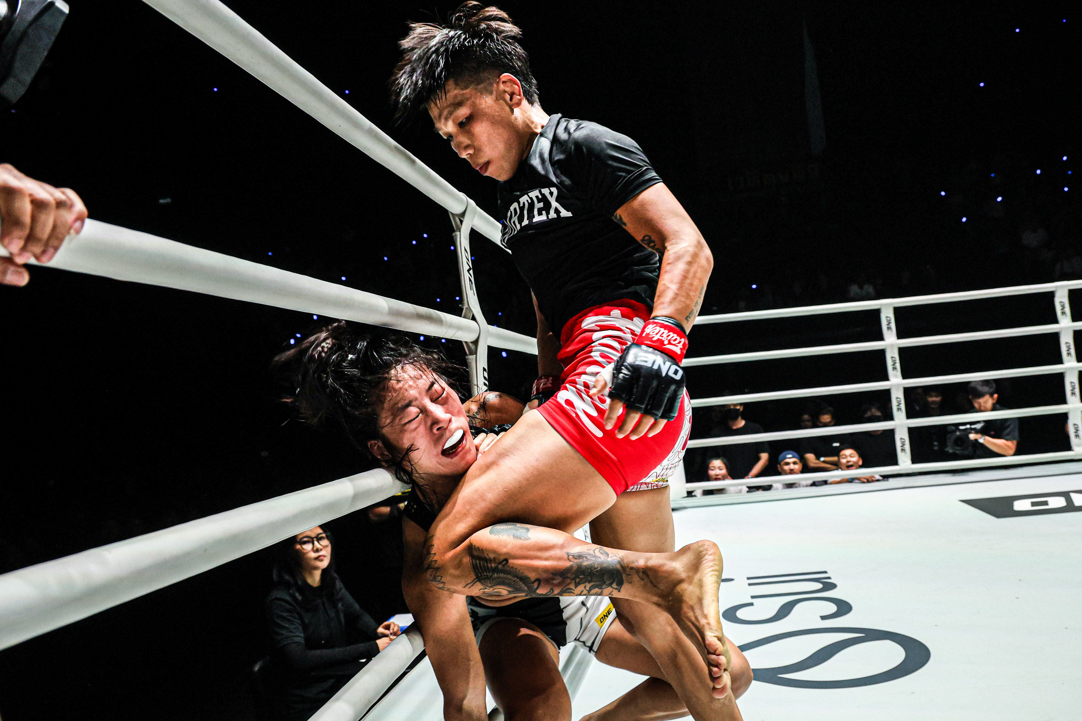 Ksiong Jing Nan Meng Bo jedan petak bori 100 16.jpg