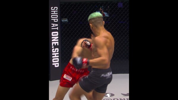Devastating knee