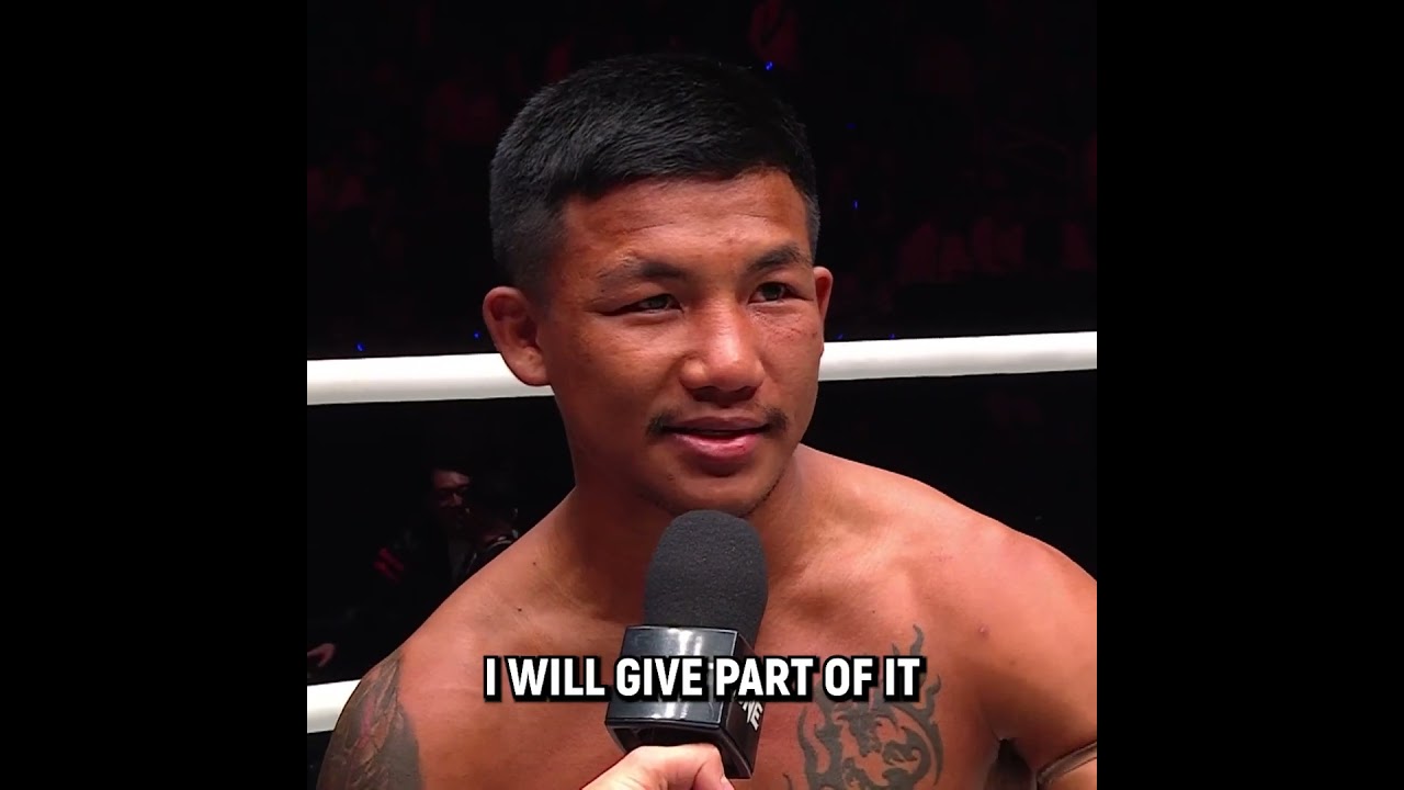 More than just a fighter