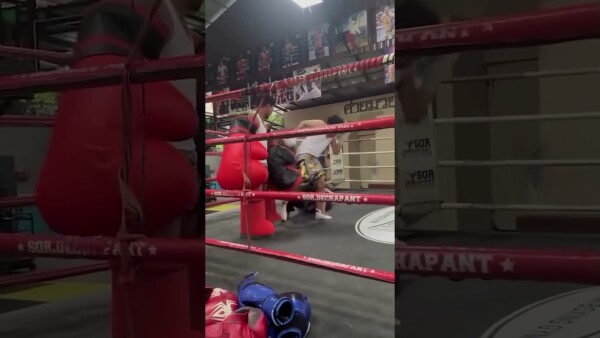 The perfect gloves  Will Rodtang outstrike Takeru in their kickboxing super fight at ONE 172?