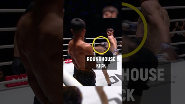 Asadula Imangazaliev stuns with a KO finish!