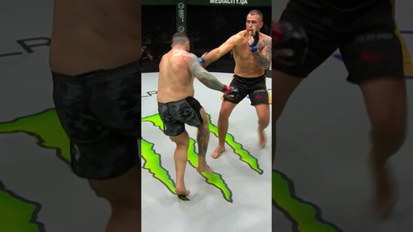 One shot was all it took  That leg blew up FAST!