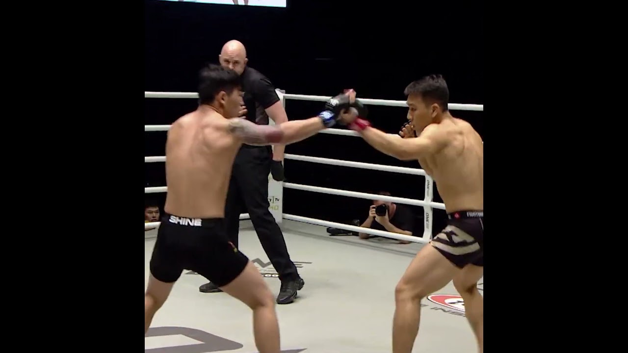 Shinechagtga Zoltsetseg sent him to another DIMENSION