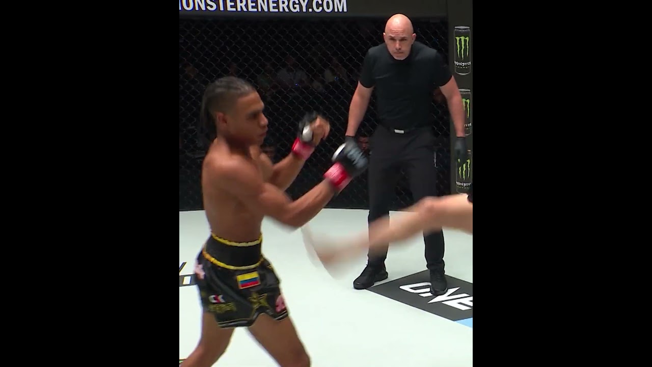 TURNT UP  Johan Estupinan put his striking skills on full display against Zafer Sayik