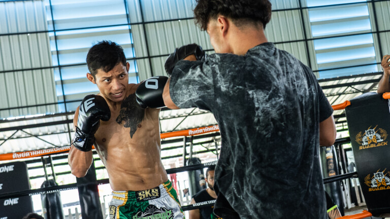 Suablack training