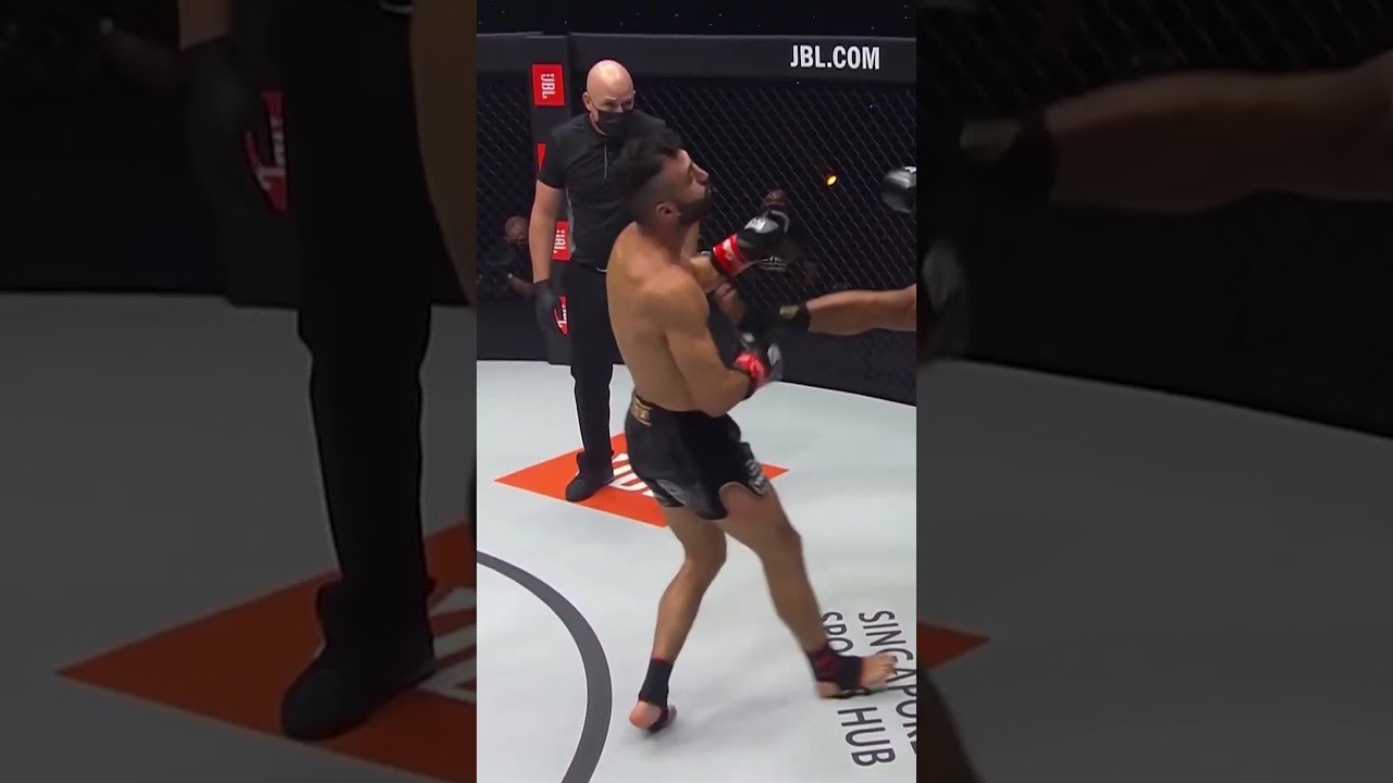 On point  Which one is your favorite?