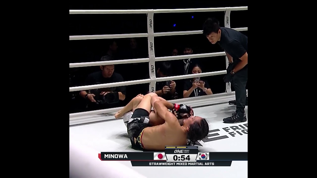 BEAUTIFUL grappling  Hiroba Minowa nearly cinches the rear naked choke against Lee Seung Chul!