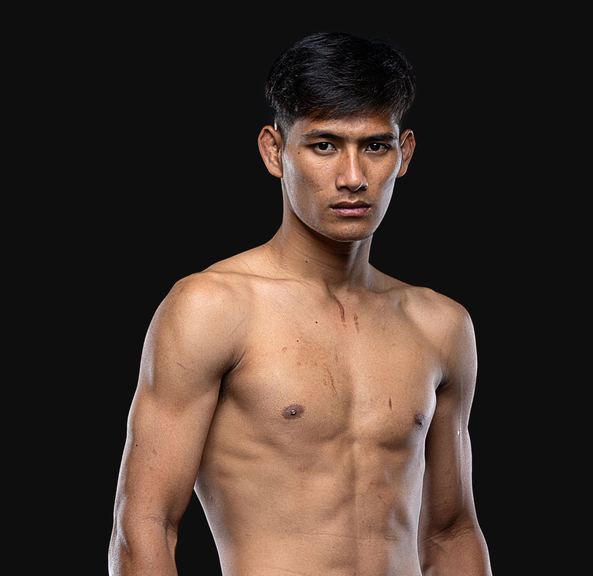 Chatpet hero 1200x1165