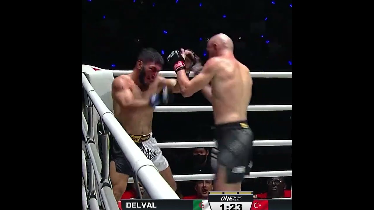 DOMINANCE  Brice Delval batters Mert Aslan for an emphatic third round TKO!
