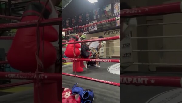 What do you think of Rodtang's gloves?