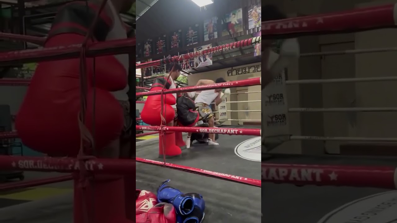 What do you think of Rodtang's gloves?