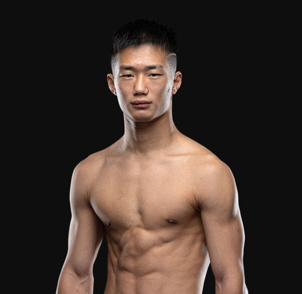 Naruto hero 1200x1165