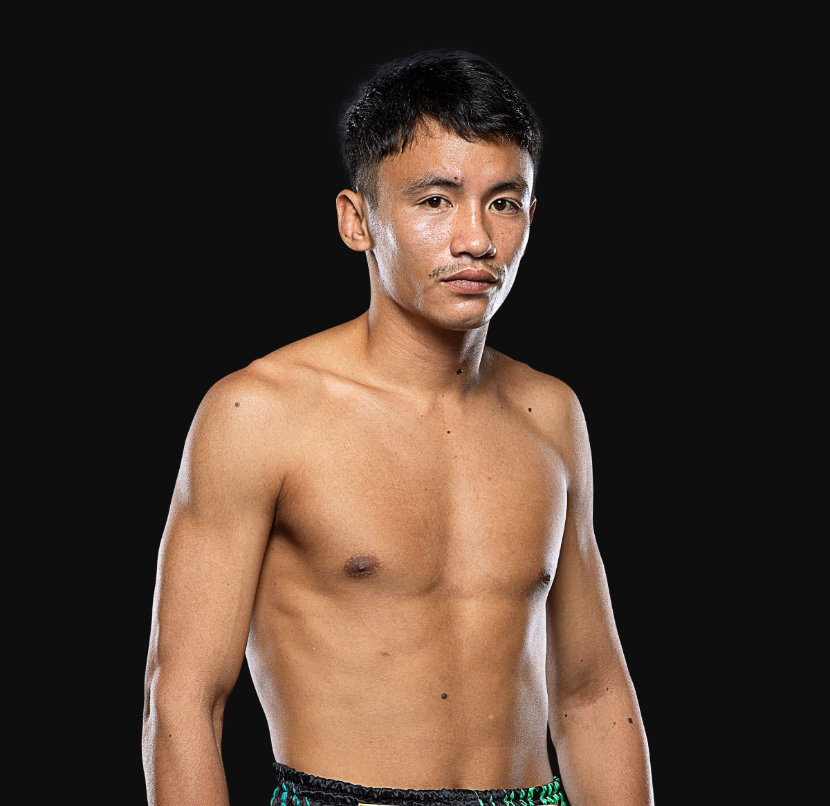 Theraphon Hero 1200x920