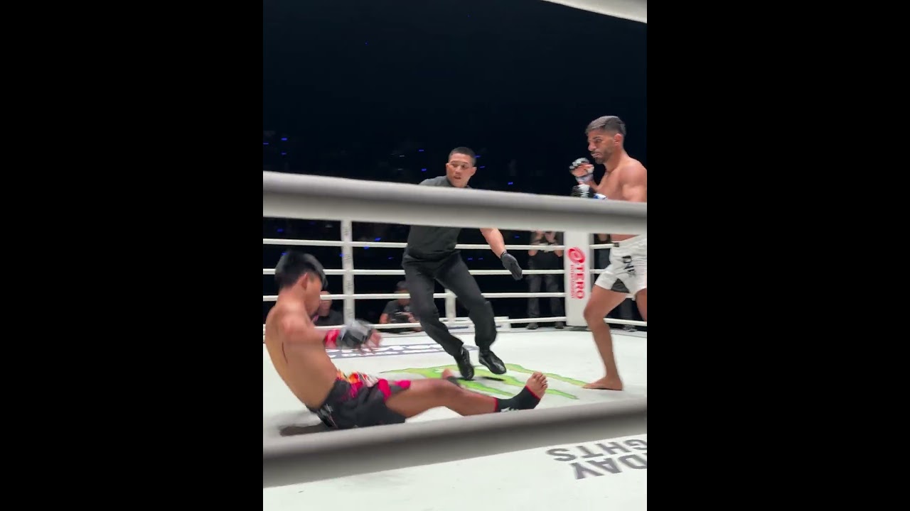 A head kick that SHAKES your screen