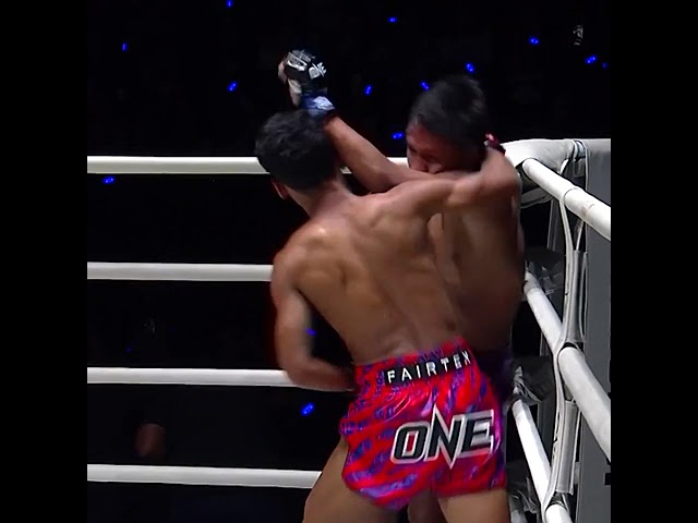 Thapluang took him OUT
