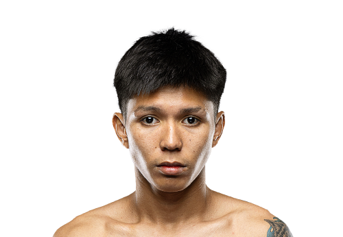 Petnamtan Avatar 500x345