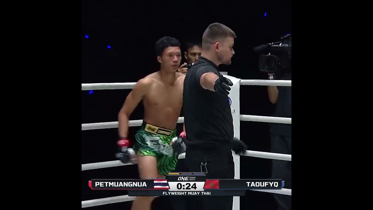 FLAWLESS  Mohamed Taoufyq terrorizes Petmuangnua for a second round TKO!