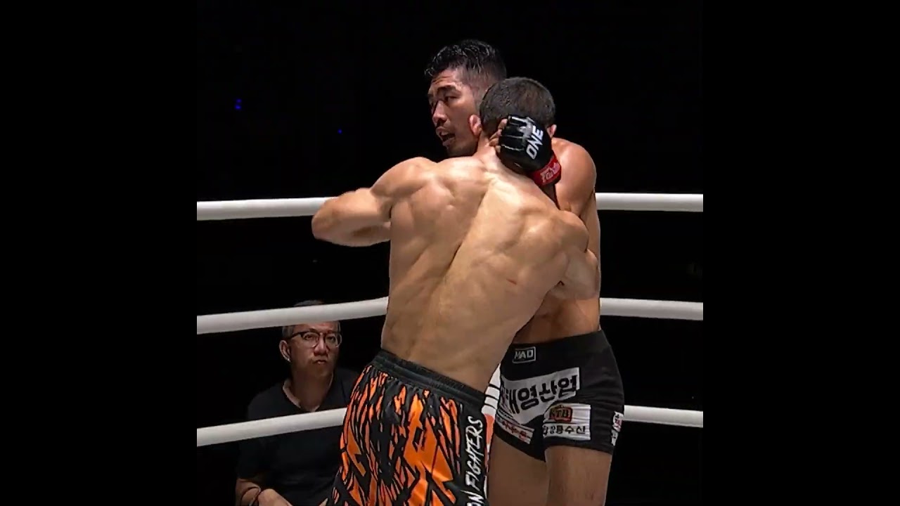 FLUID Perfection  Now Alibeg Rasulov takes on Christian Lee at ONE 173!