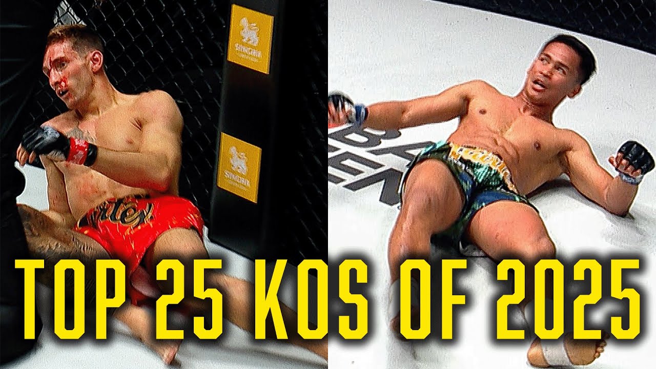 25 Increasingly DEVASTATING Knockouts From 2025