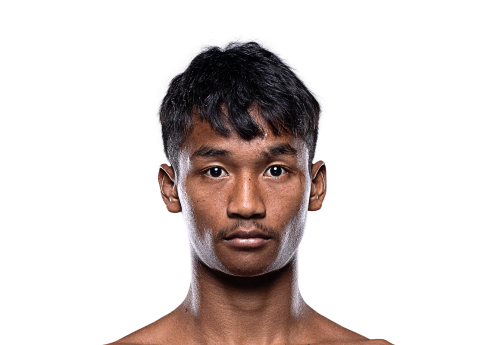 Petdam avatar 500x345