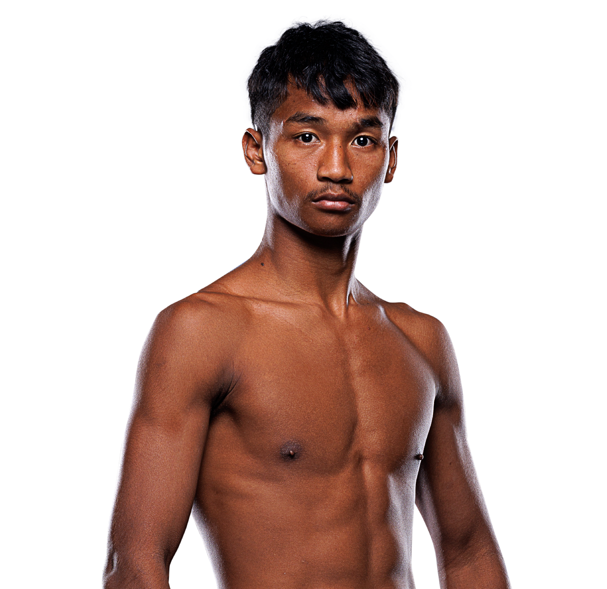 Petdam hero 1200x1165