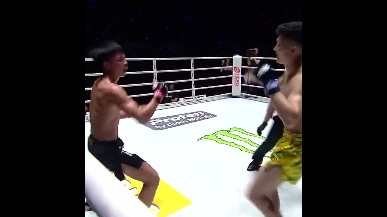 RAPID FIRE body kicks from Shimon