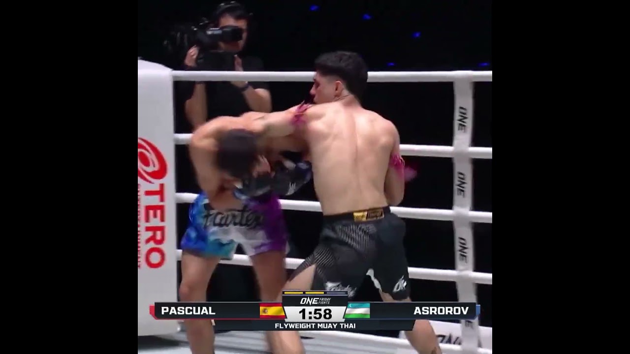 PUNISHING strikes  Pol Pascual stops Daler Asrorov in stunning fashion!