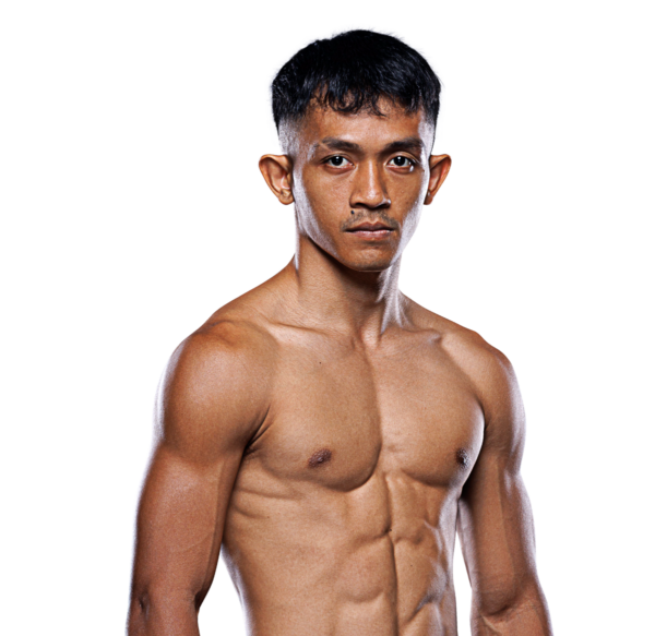 Delfan_Dwi_Satrio hero 1200x1165