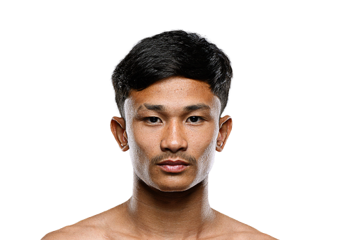 Densiam Avatar 500x345