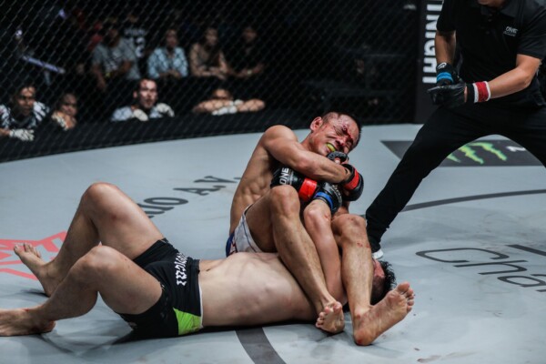 Chen Lei ADUX1939 600x400