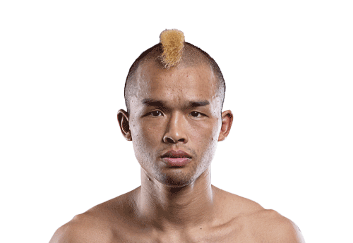 Wang_Junguangavatar 500x345