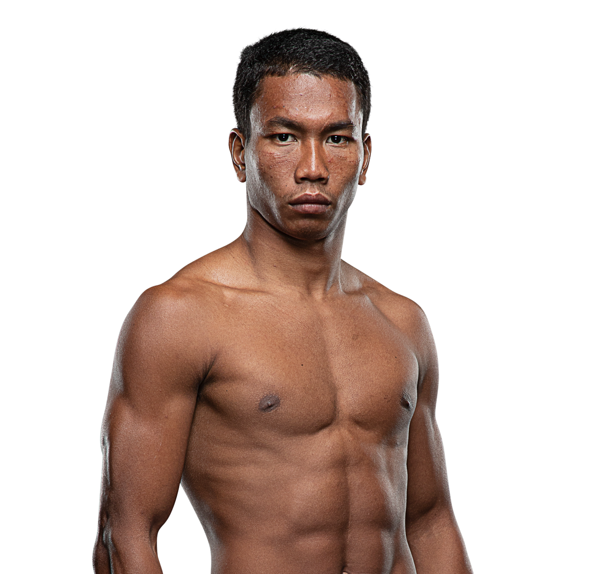 Petsukumvit 1200x1165 1