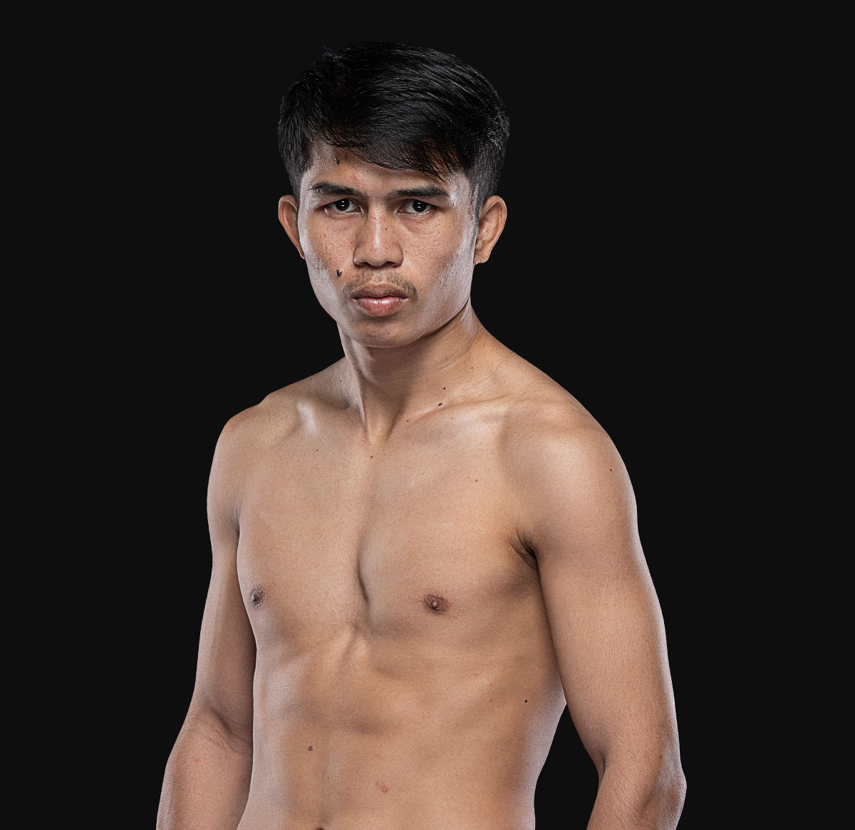 Panpet Hero 1200x1165 1