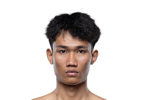 Petkitti avatar 500x345 1