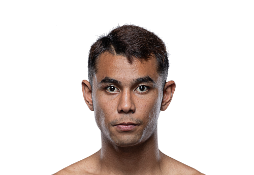 Petsinchai avatar 500x345 1