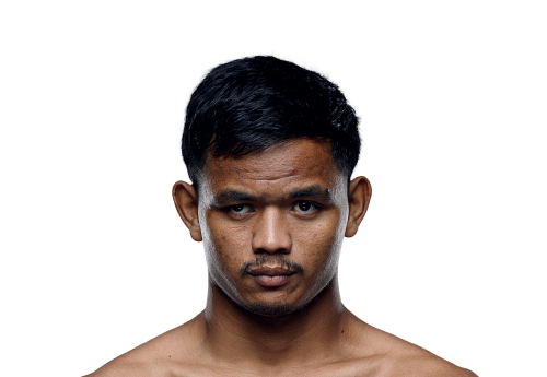 Netpayak Avatar 500x345 1