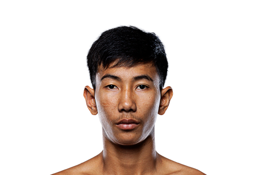 Nueapayak avatar 500x345 1