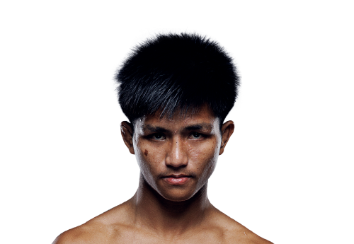 Pek Avatar 500x345 1