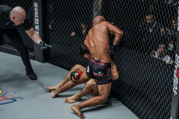 Demetrious Johnson DC 6841 600x400